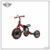 Tricycle Bike Red